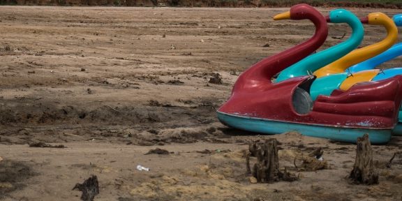 Foto de quatro remos de cisne em um chão seco.