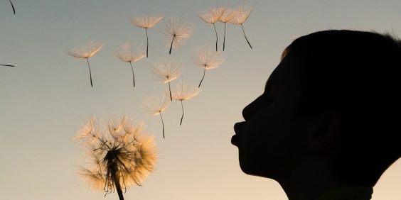 Foto da silhueta de um garoto assoprando uma flor dente de leão.